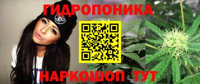 стафф Чапаевск