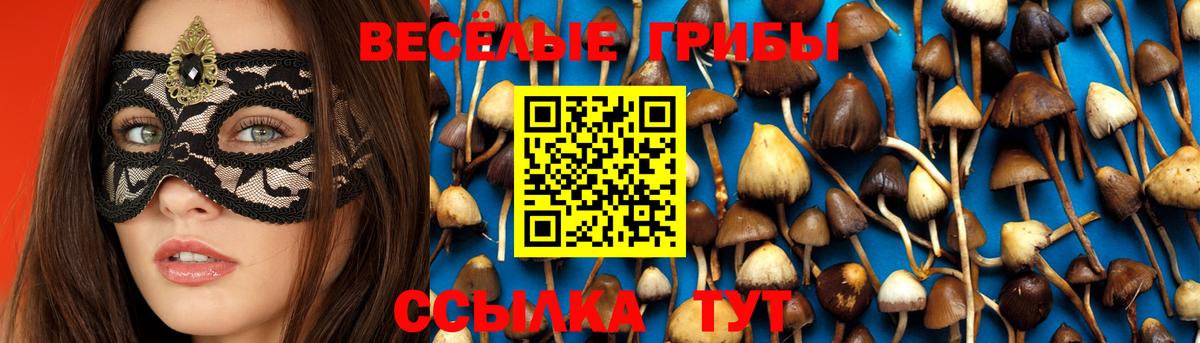 Псилоцибиновые грибы мухоморы Белебей
